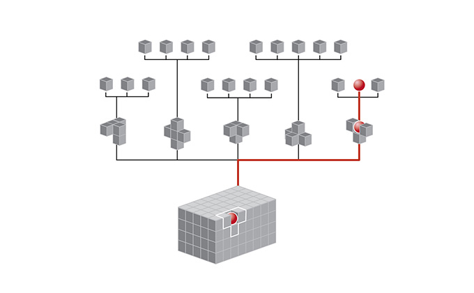 Parametric Inspection Features